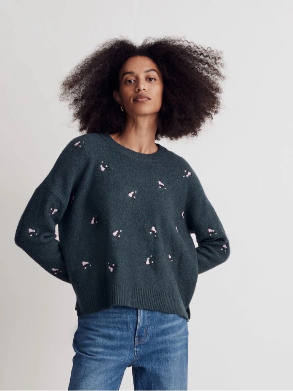 Madewell Embroidered Cross-Stitch Floral Pullover Sweater